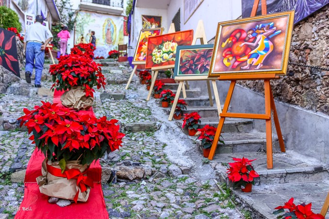 Vibrant poinsettias and colorful paintings line the steps of Taxco during a local art festival, highlighting the town’s thriving artistic community. The juxtaposition of flowers and art adds a splash of color to the town’s traditional stone streets.