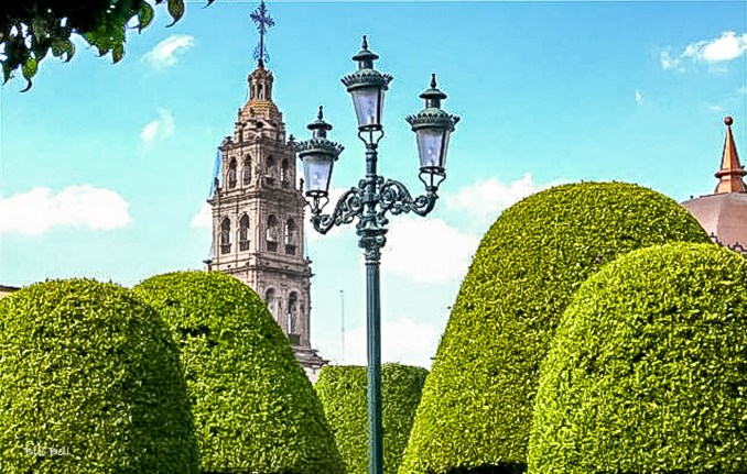 The beautifully manicured trees of León’s main plaza with the towering León Cathedral in the background, offering a serene view of the city’s rich historical and religious heritage.