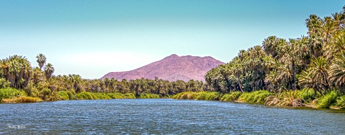 The lush, green oasis of San Ignacio, an unexpected paradise in the arid Baja California desert, thrives along the San Ignacio River. Surrounded by palm groves and backed by mountains, this natural haven offers a peaceful escape for travelers and a home for local wildlife.