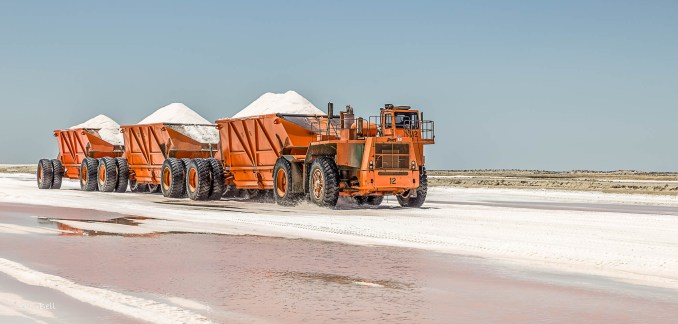 "Massive trucks transport freshly harvested salt across the expansive salt flats of Guerrero Negro, home to one of the largest salt production facilities in the world. The town's economy thrives on this essential industry, which operates alongside its famous whale-watching season."