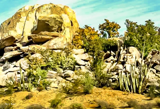 The rugged and picturesque landscape of Cataviña, featuring massive granite boulders and unique desert vegetation, such as boojum trees and cardón cacti, highlights the natural beauty of this remote Baja California town. (Photo by Bill Bell)