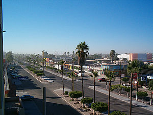 "A sunny morning in Ciudad Constitución reveals the city's busy main avenue, lined with palm trees and bustling with daily life. A reminder that this small city is the breadbasket of Baja California Sur."