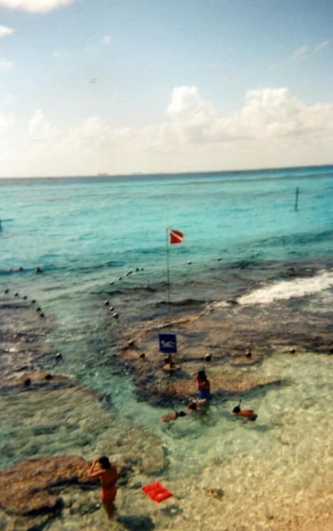 Snorkelers explore the shallow, clear waters of Isla Mujeres, where the vibrant marine life and coral reefs offer a unique underwater experience.