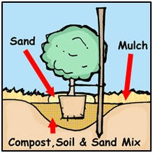 soil